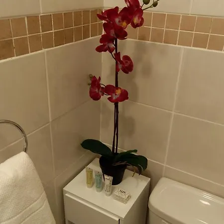 Silver Eagle Alojamento de Acomodação e Pequeno-almoço