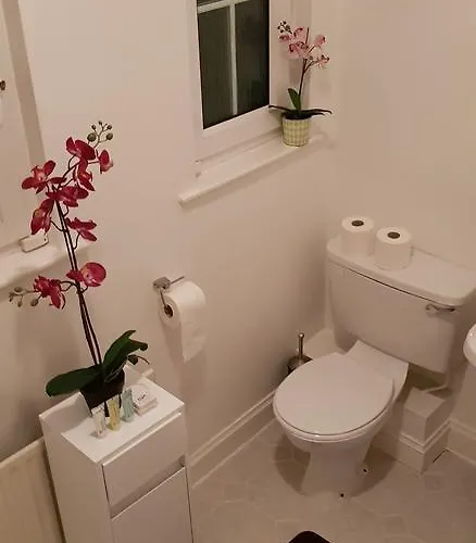 Silver Eagle Bed & Breakfast 4*