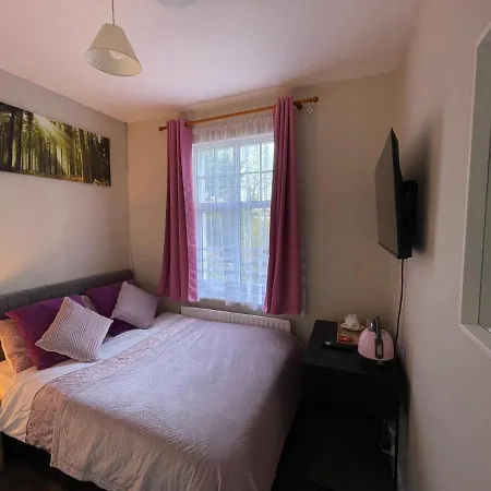 Silver Eagle דבלין