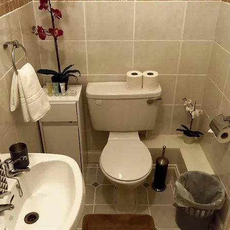 Silver Eagle 4* דבלין