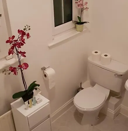 Silver Eagle לינה וארוחת בוקר 4*